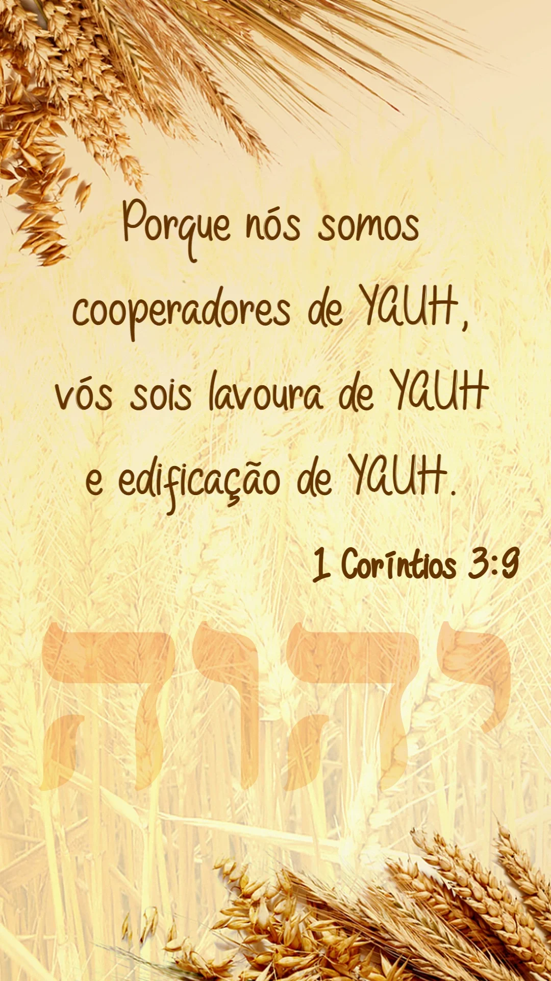 1 Coríntios 3:9