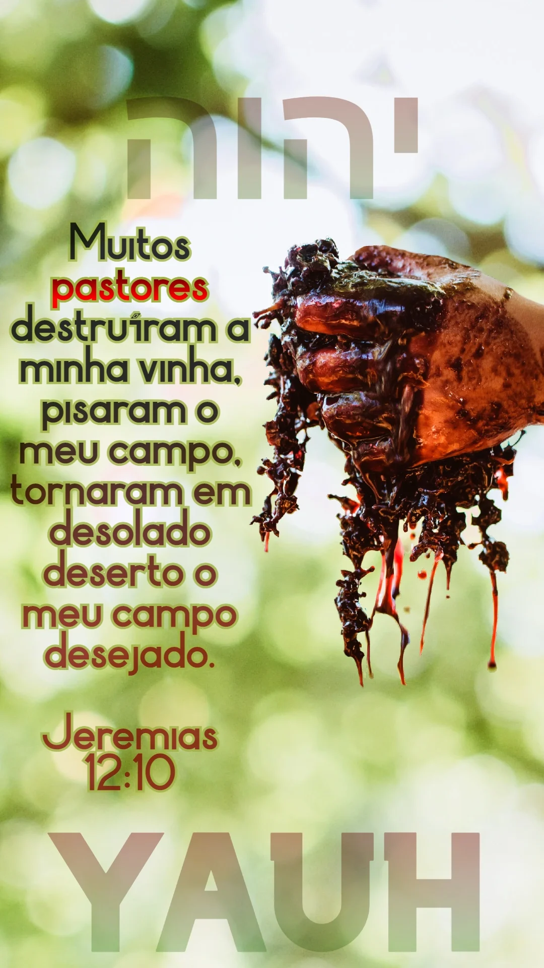 Jeremias 12:10