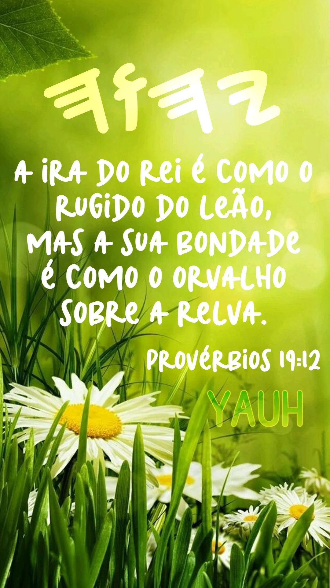 Provérbios 19:12