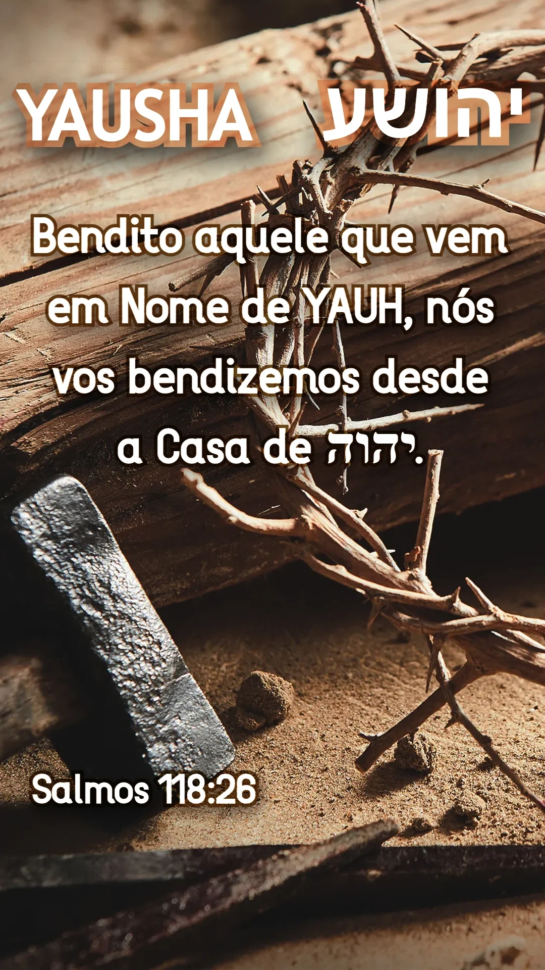 Salmos 118:26