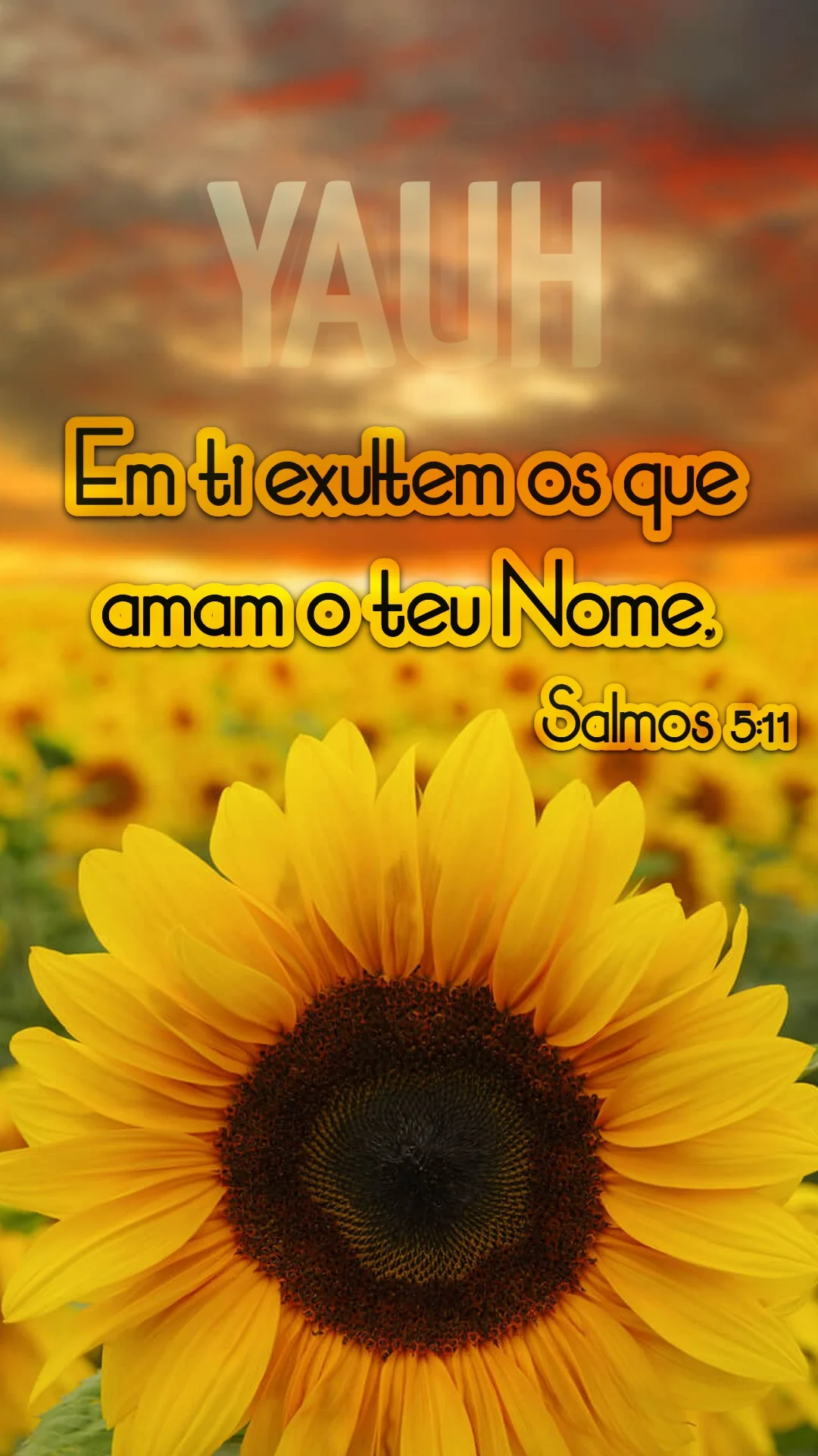 Salmos 5:11