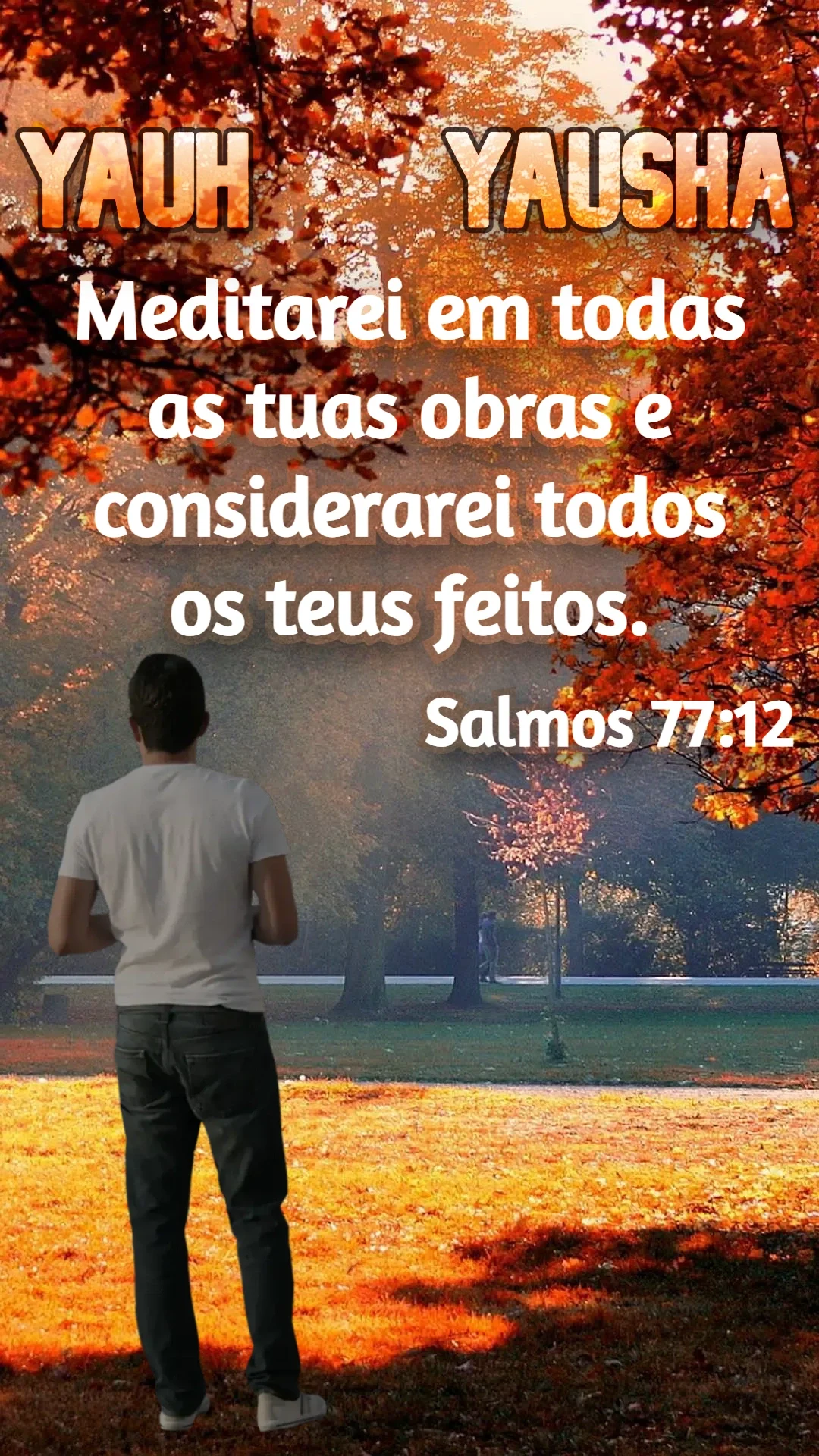 Salmos 77:12