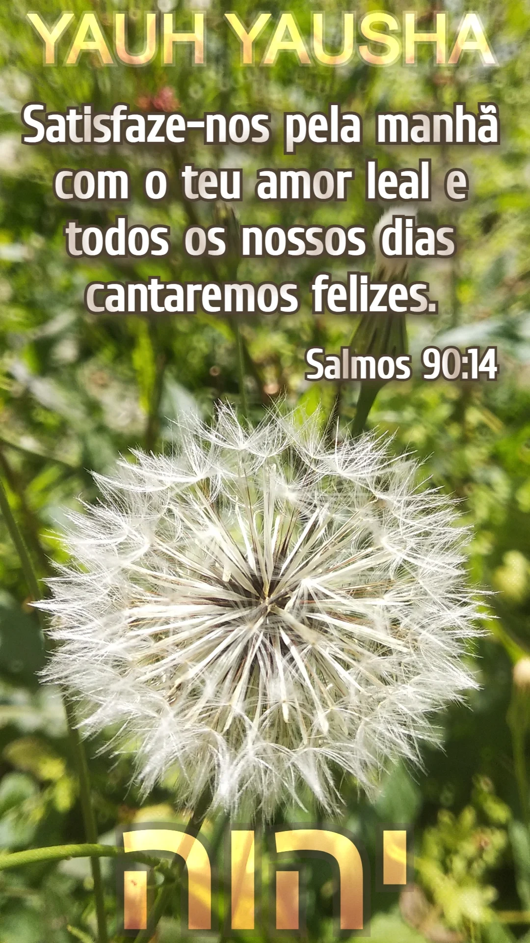 Salmos 90:14